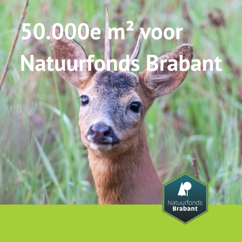 Natuur (1)