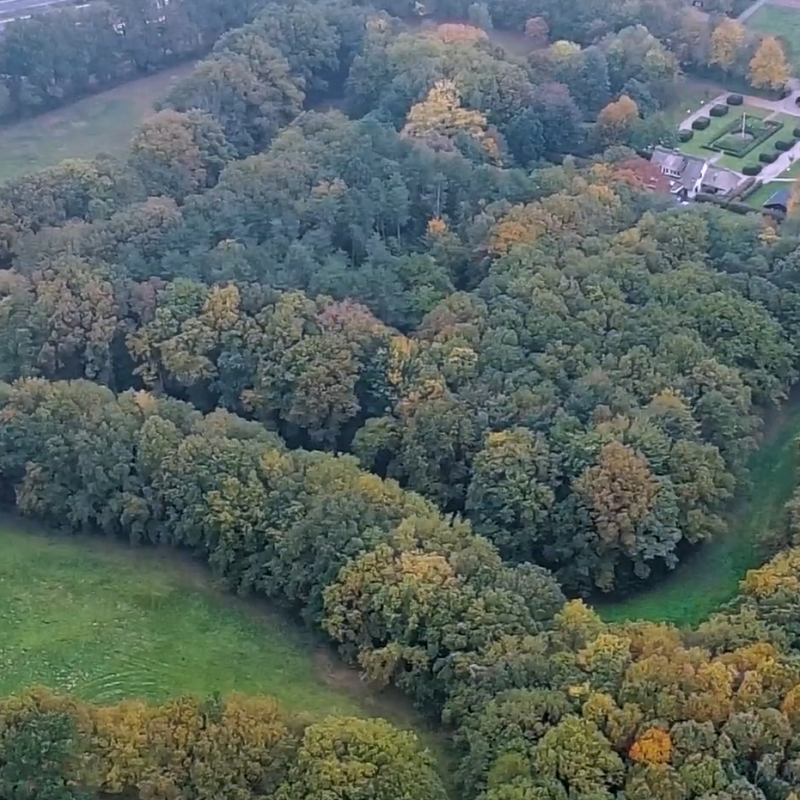 Screenshot video derde aankoop