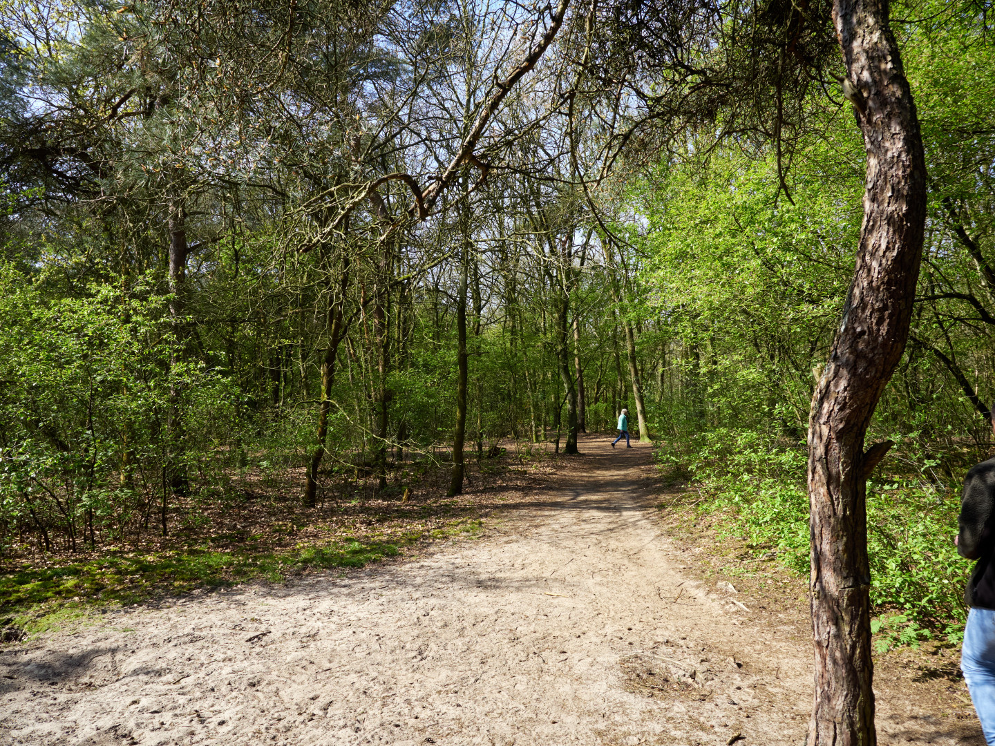 2026 04 14 jac.h P1220909
