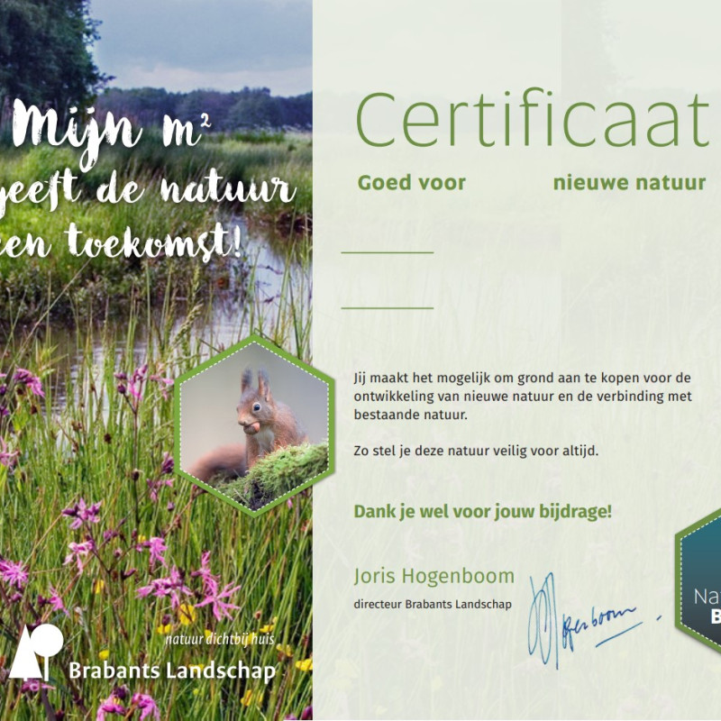Uitsnede voorbeeld certificaat NFB
