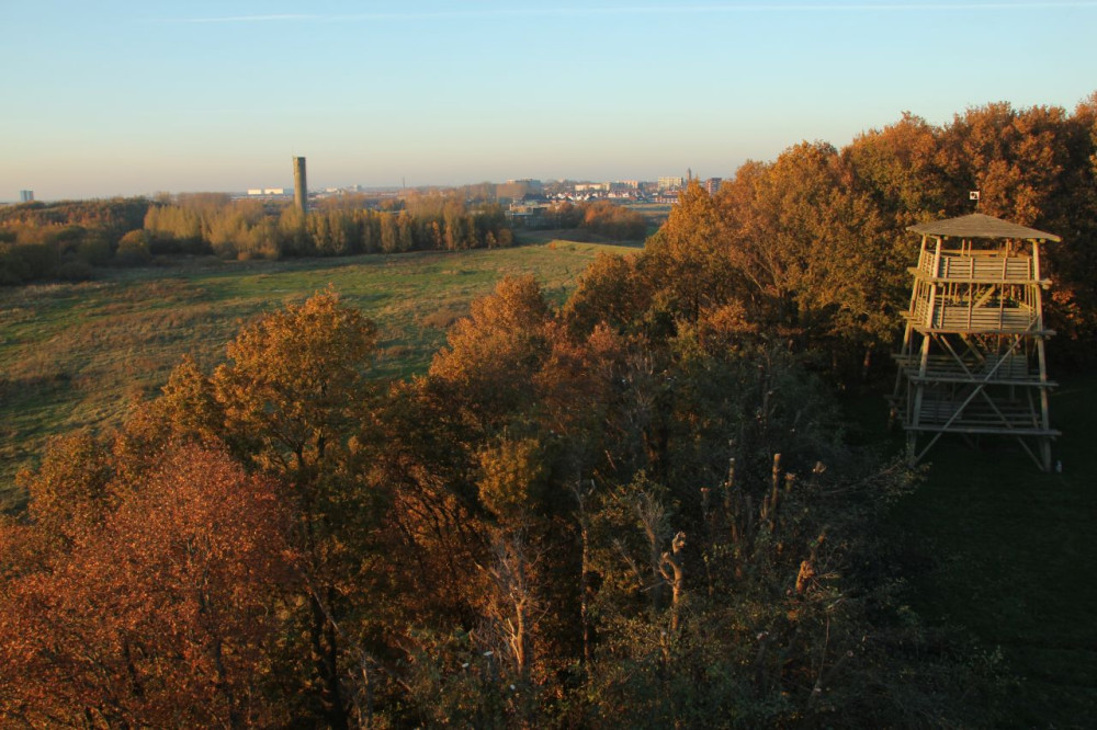 Vogelkijkvoorzieningen\Uitkijktoren Kraaijenberg