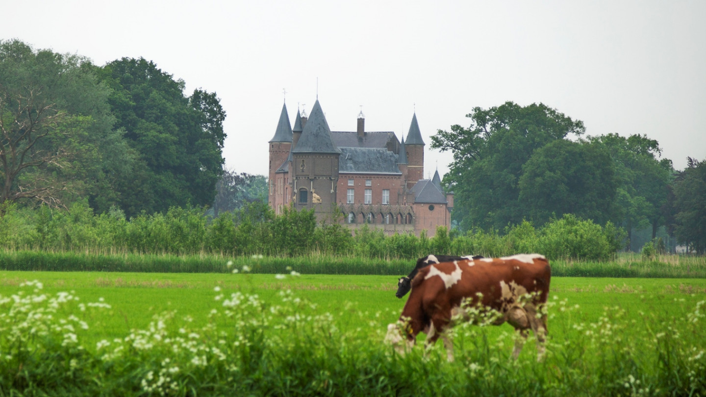 Heeswijk kasteel RDI