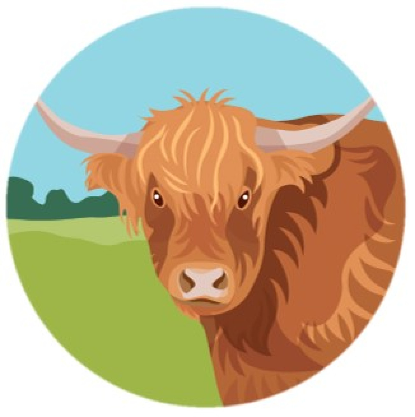 Icoon Schotse Hooglander