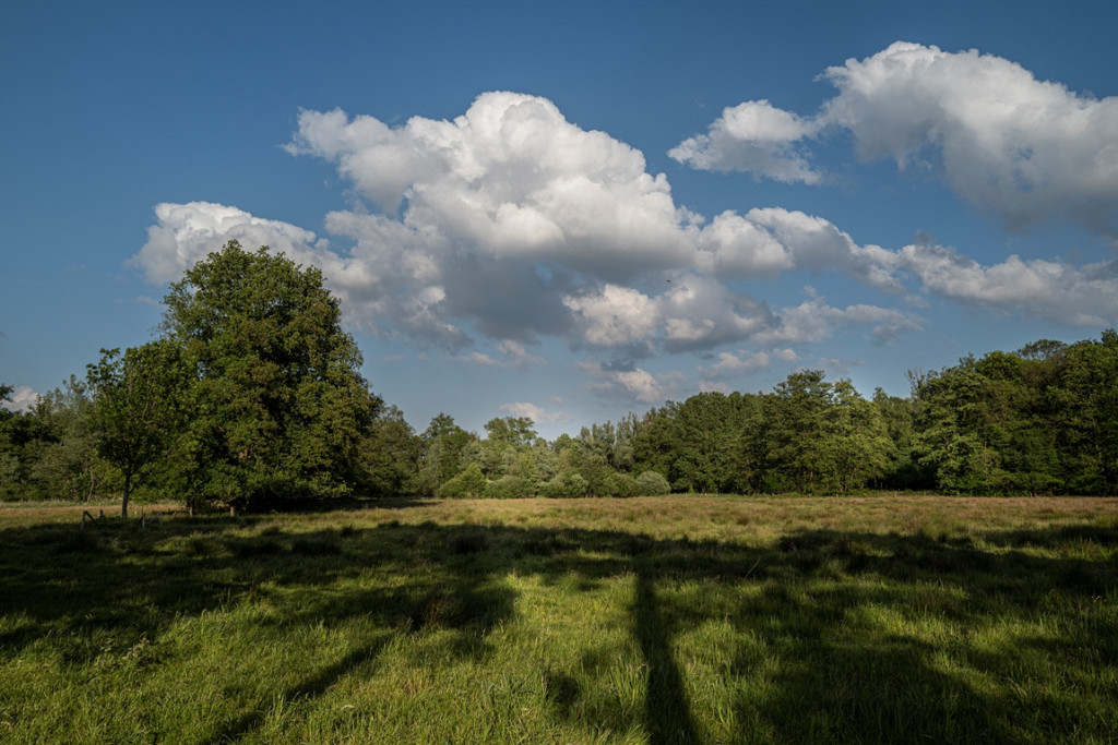 Mortelen JvL M20 001