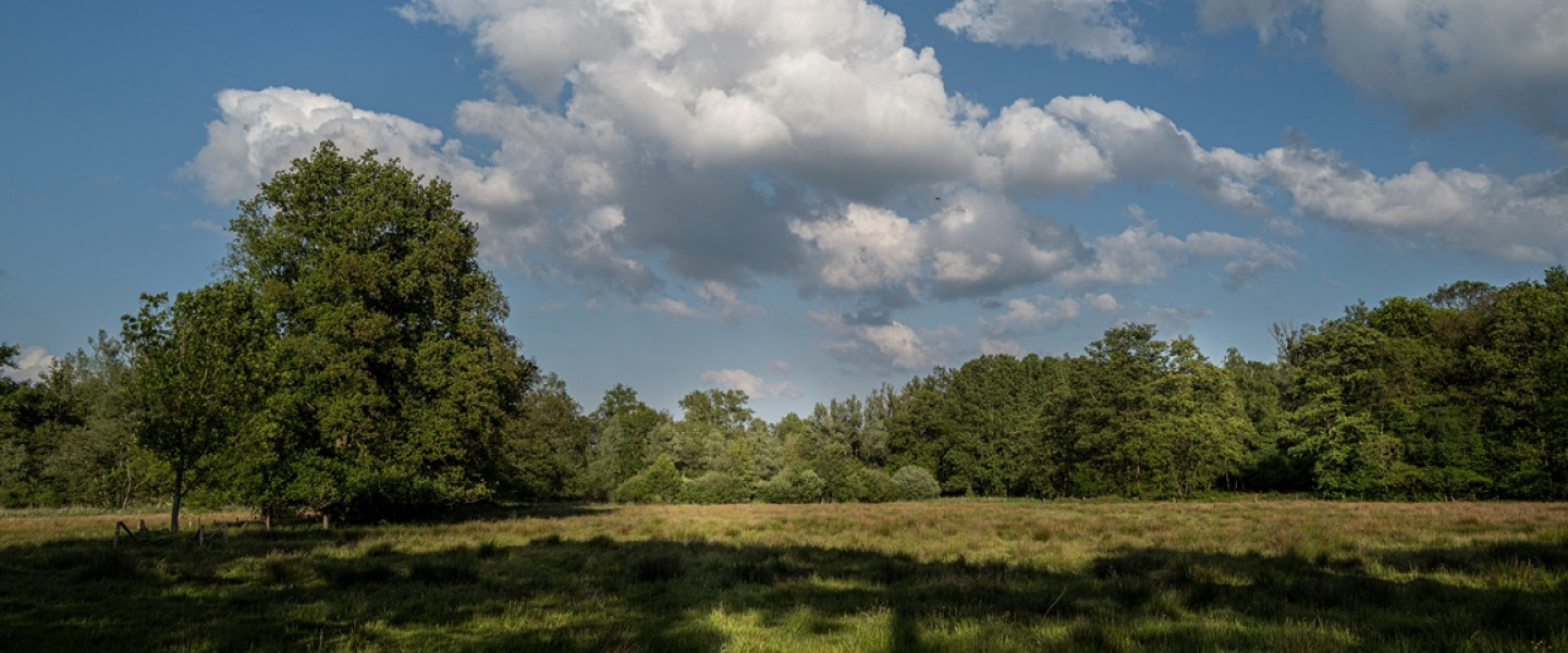 Mortelen JvL M20 001