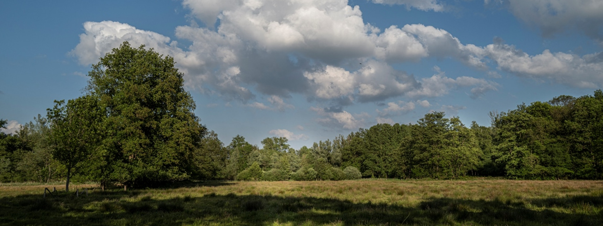 Mortelen JvL M20 001