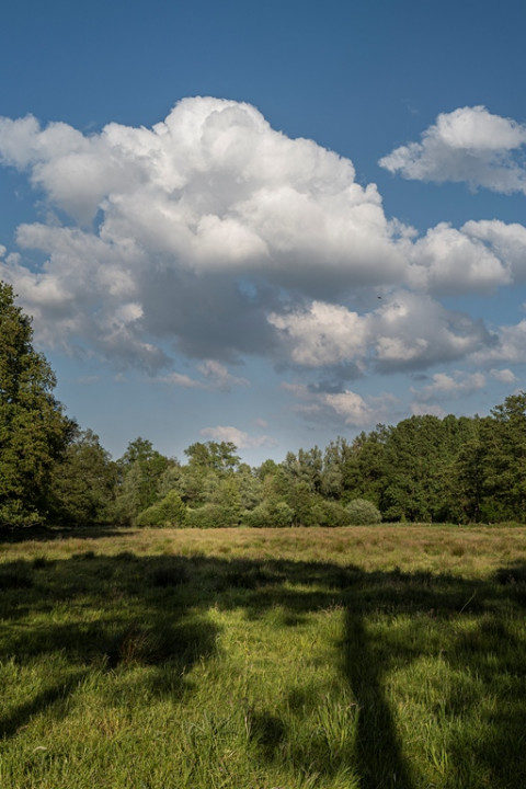 Mortelen JvL M20 001