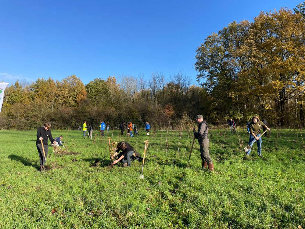 Green Friday 2022 bomen planten met Trees for All