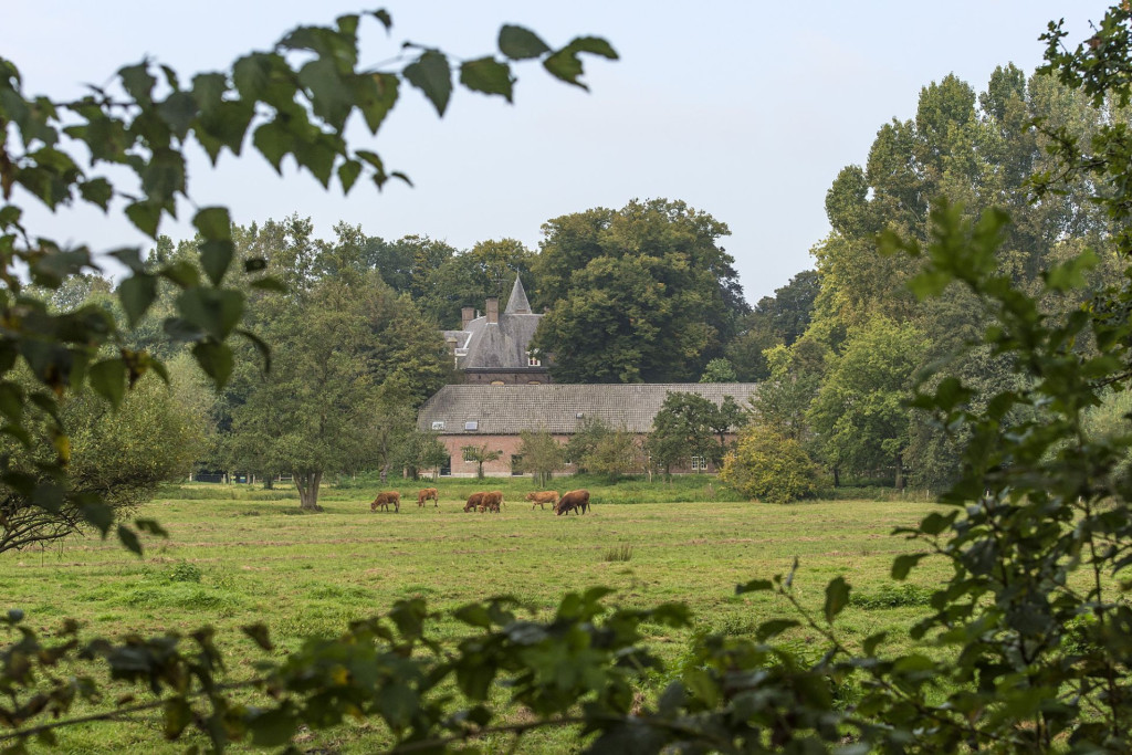 Kantoor en boomgaard BL - JVL