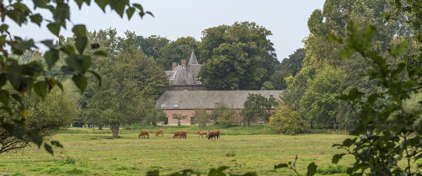 Kantoor en boomgaard BL - JVL