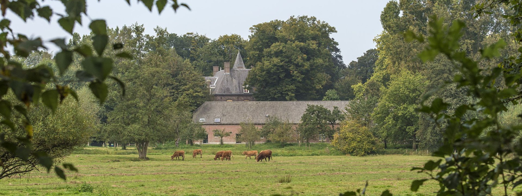 Kantoor en boomgaard BL - JVL