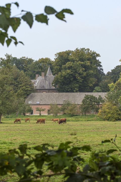 Kantoor en boomgaard BL - JVL