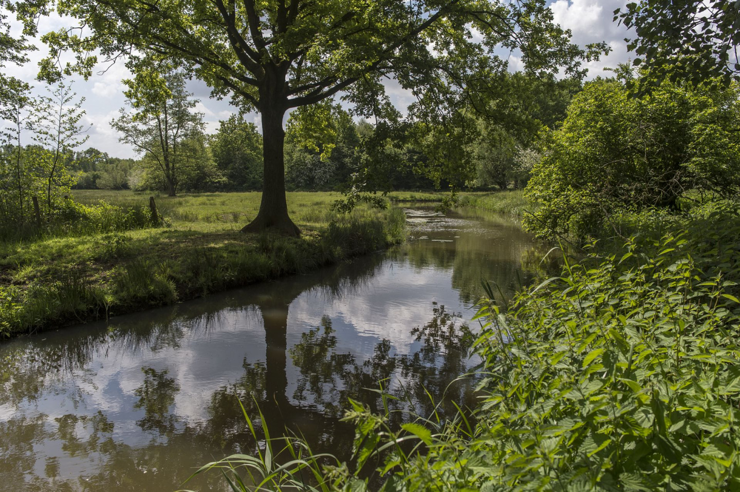 Landgoed Nemerlaer - JVL