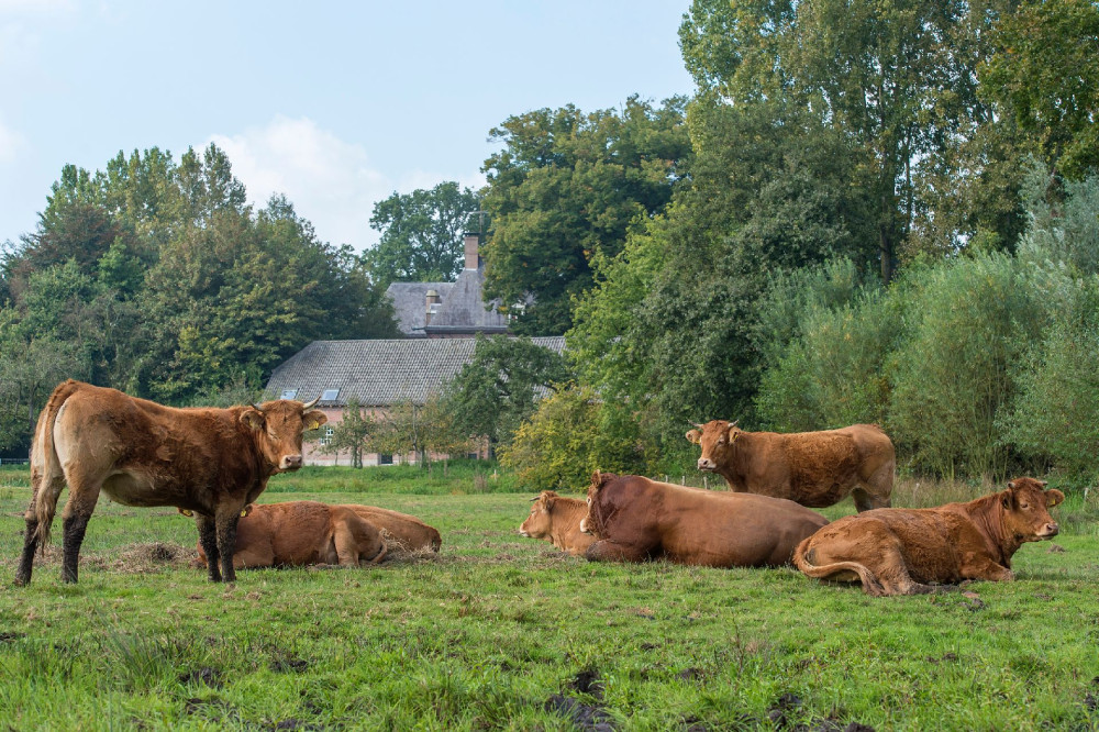 Kantoor BL Landgoed Nemerlaer - James van Leuven