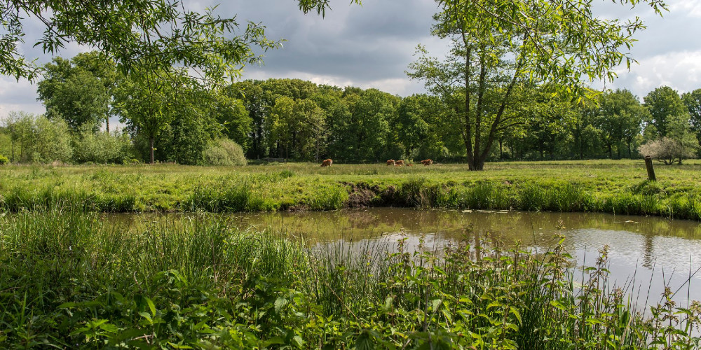 Landgoed Nemerlaer en kantoor BL - James van Leuven