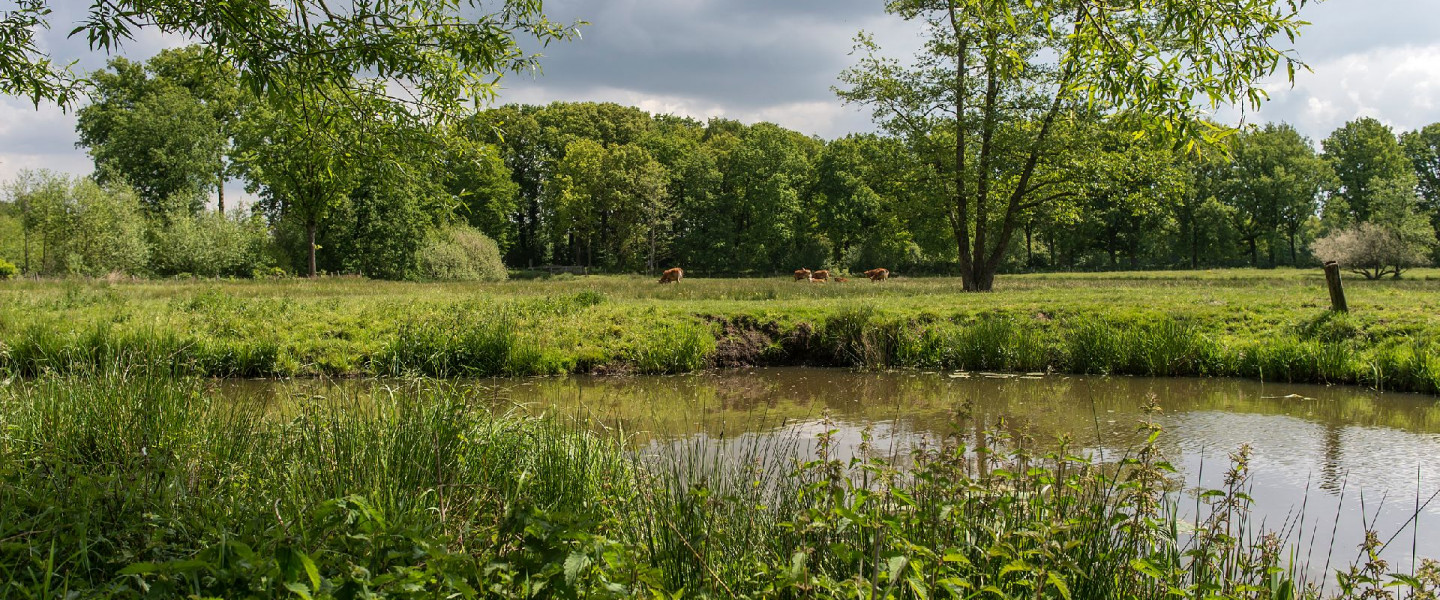Landgoed Nemerlaer en kantoor BL - James van Leuven