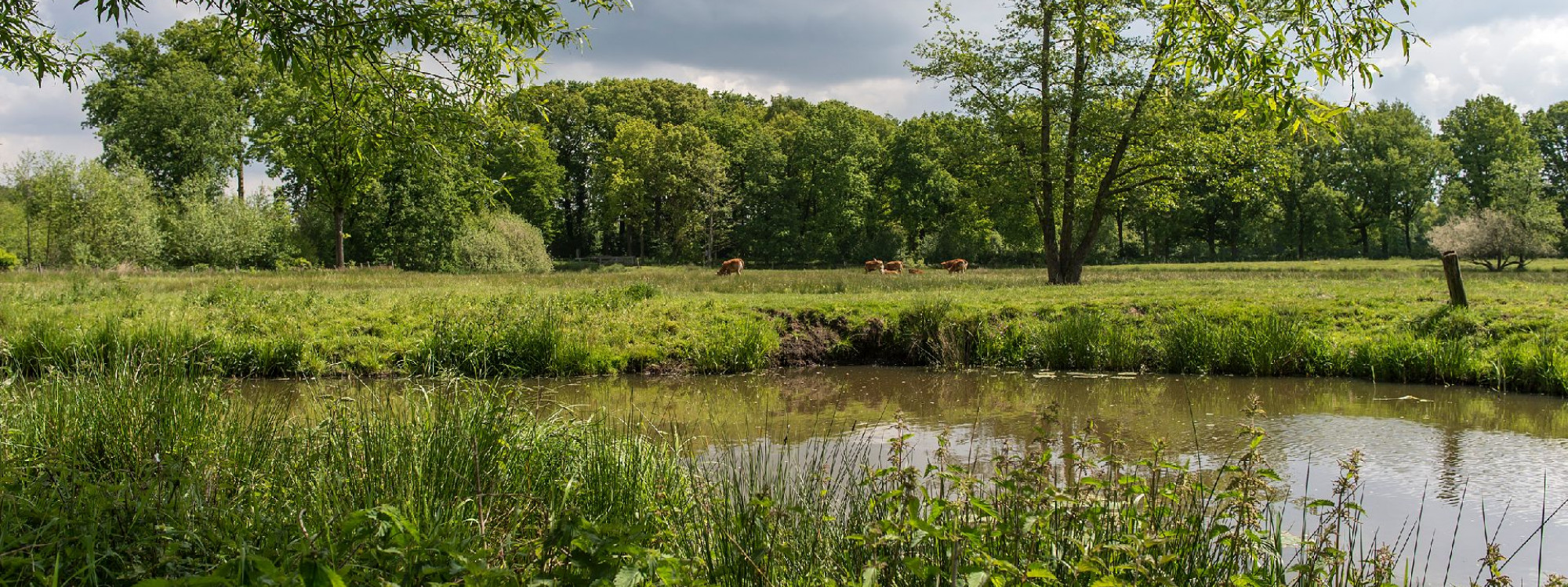 Landgoed Nemerlaer en kantoor BL - James van Leuven