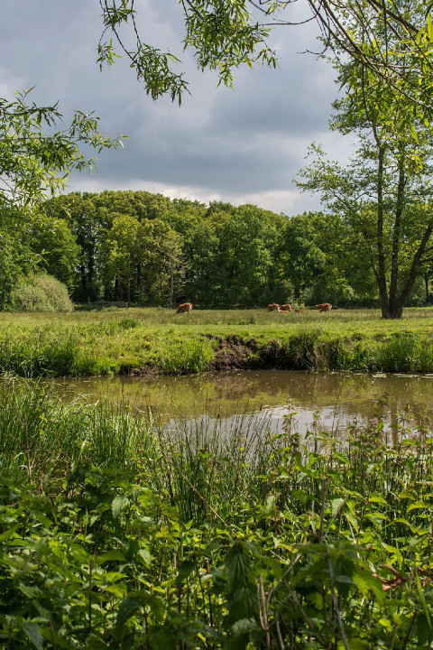 Landgoed Nemerlaer en kantoor BL - James van Leuven