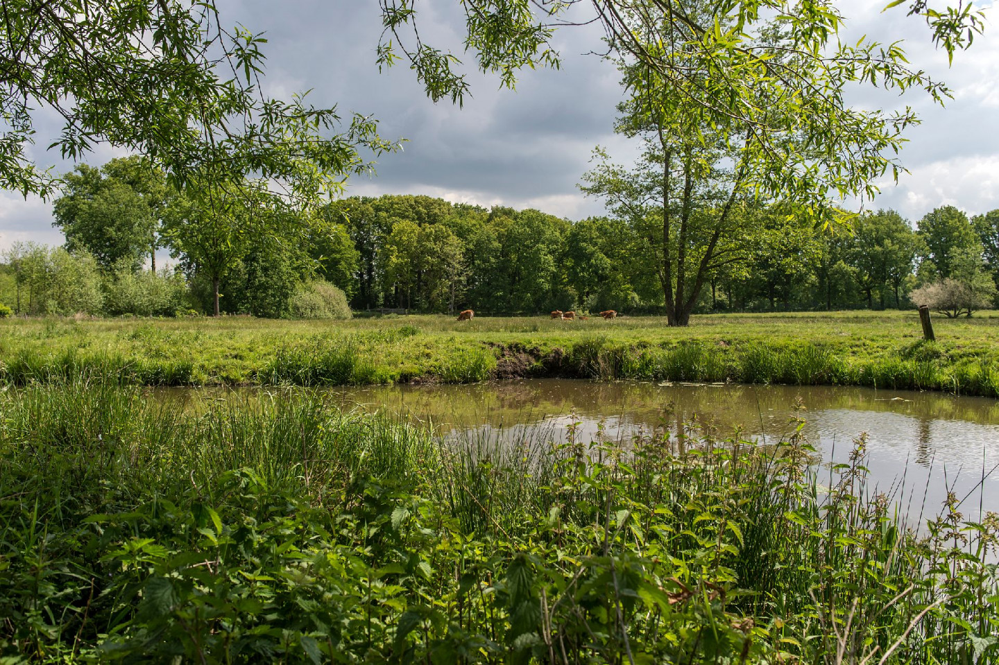 Landgoed Nemerlaer en kantoor BL - James van Leuven