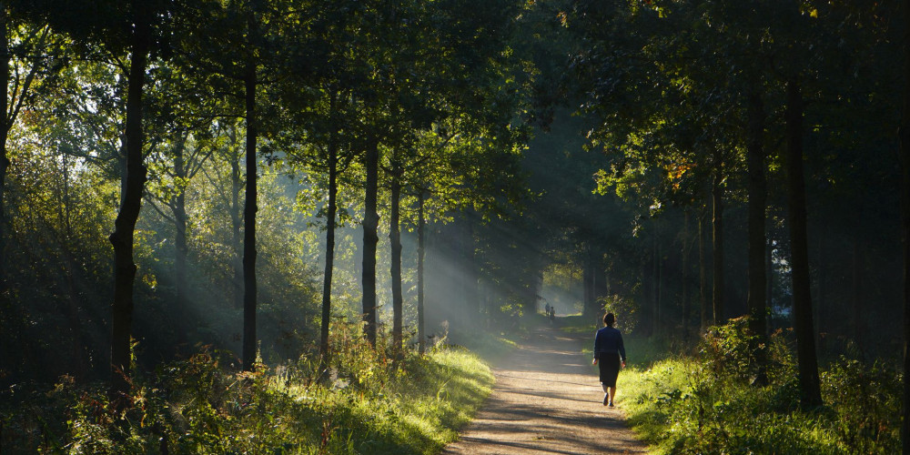 Schenken en nalaten - Fotograaf Hanne Delbaere