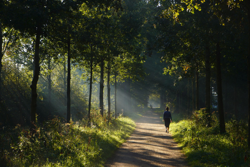 Schenken en nalaten - Fotograaf Hanne Delbaere