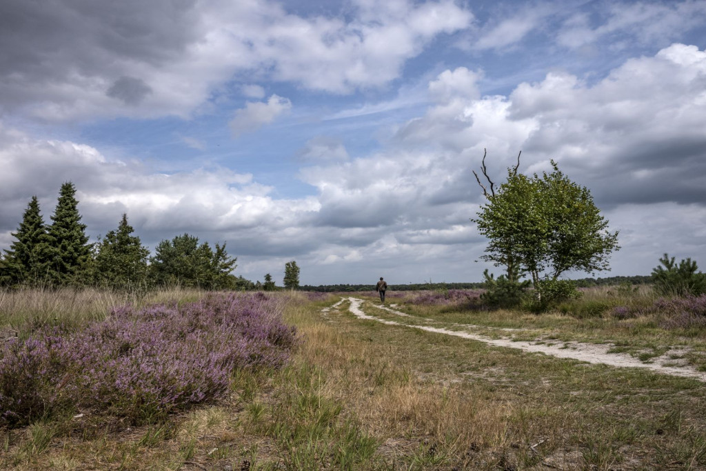 Regte Heide