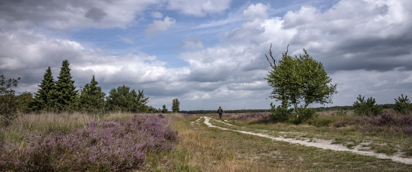 Regte Heide