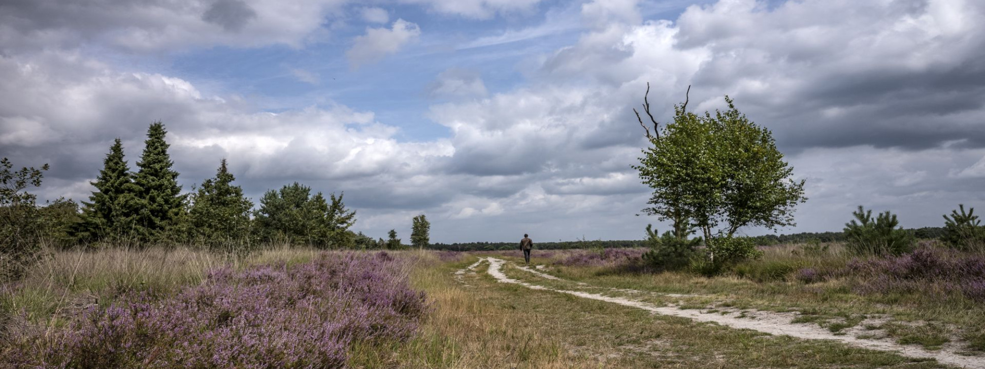 Regte Heide