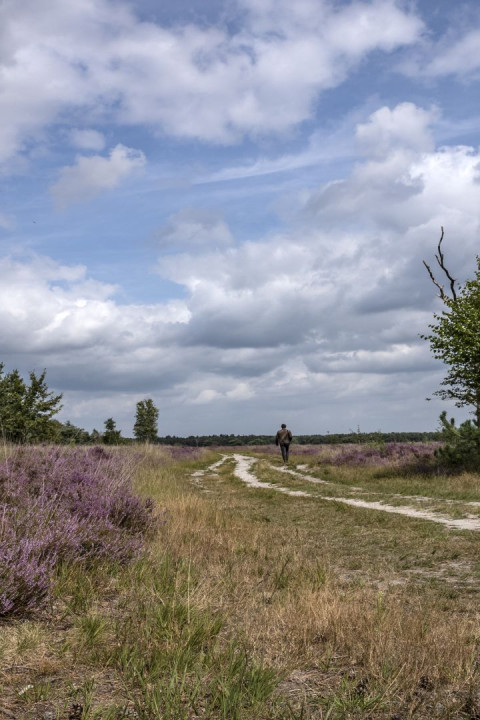 Regte Heide