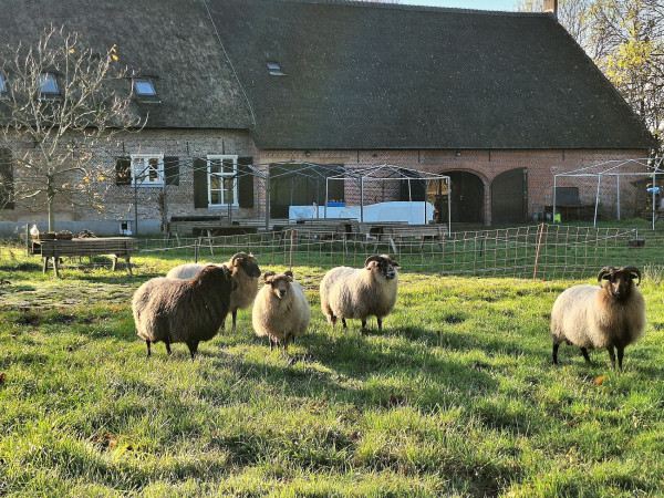 Fotografie - Hoeve Hildernisse
