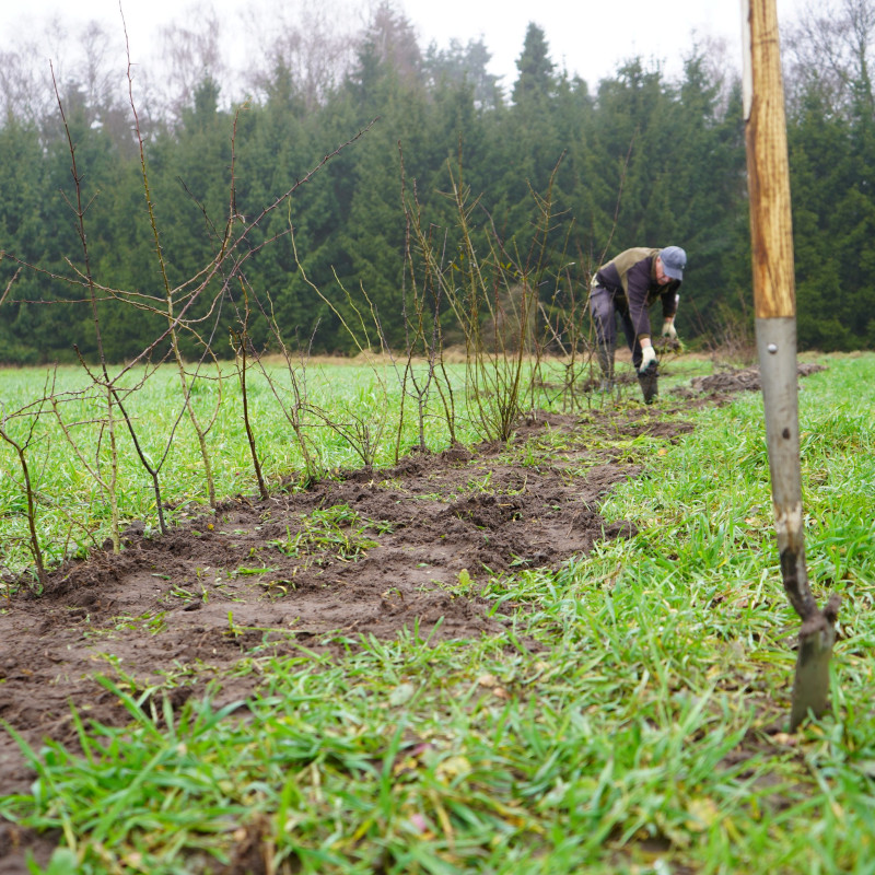 LQ De Kaaistoep BrabantBehaagt 260224 HDE (43)