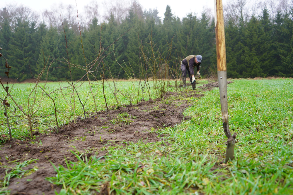 LQ De Kaaistoep BrabantBehaagt 260224 HDE (43)