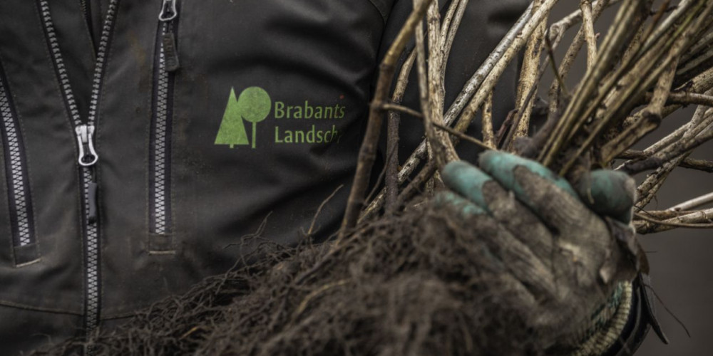 Plantgoed in de hand met handschoen en logo - RDI