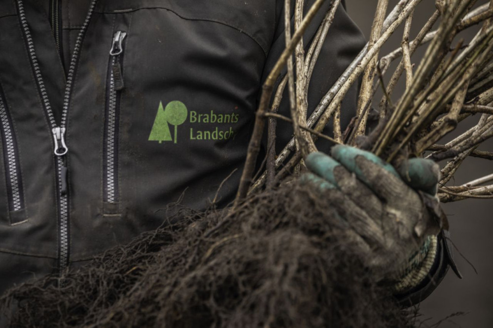 Plantgoed in de hand met handschoen en logo - RDI