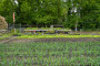 Tuin Haanwijk DSC 9109 Motion Fotograaf Leroy