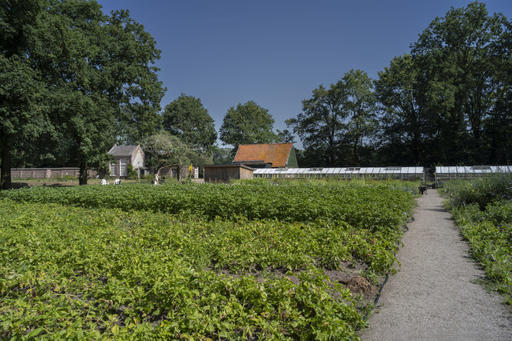 Tuin Haanwijk jvbl hw26002 Fotograaf James van Leuven juni2026