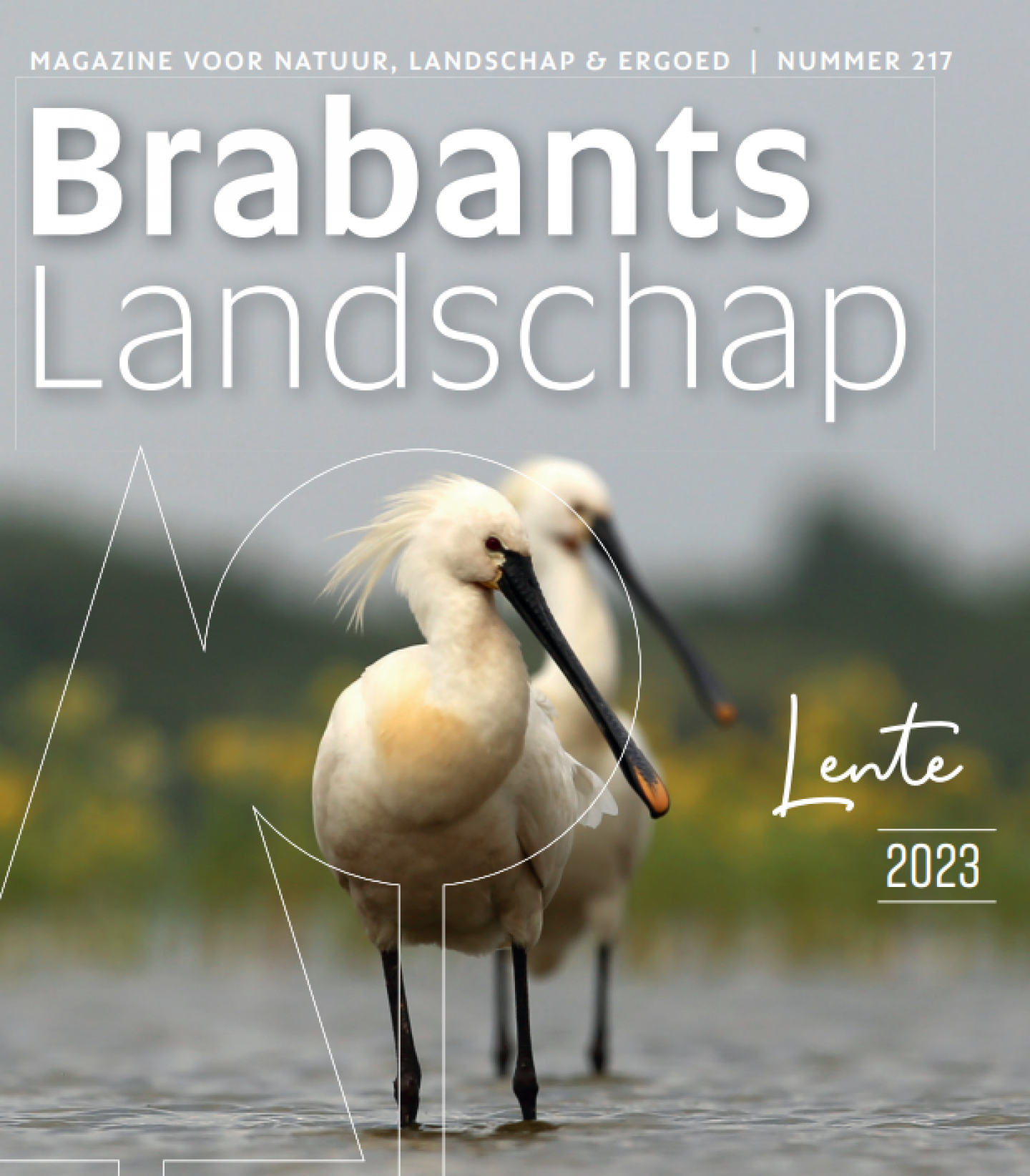 Voorkant Natuurmagazine BL lente 2023