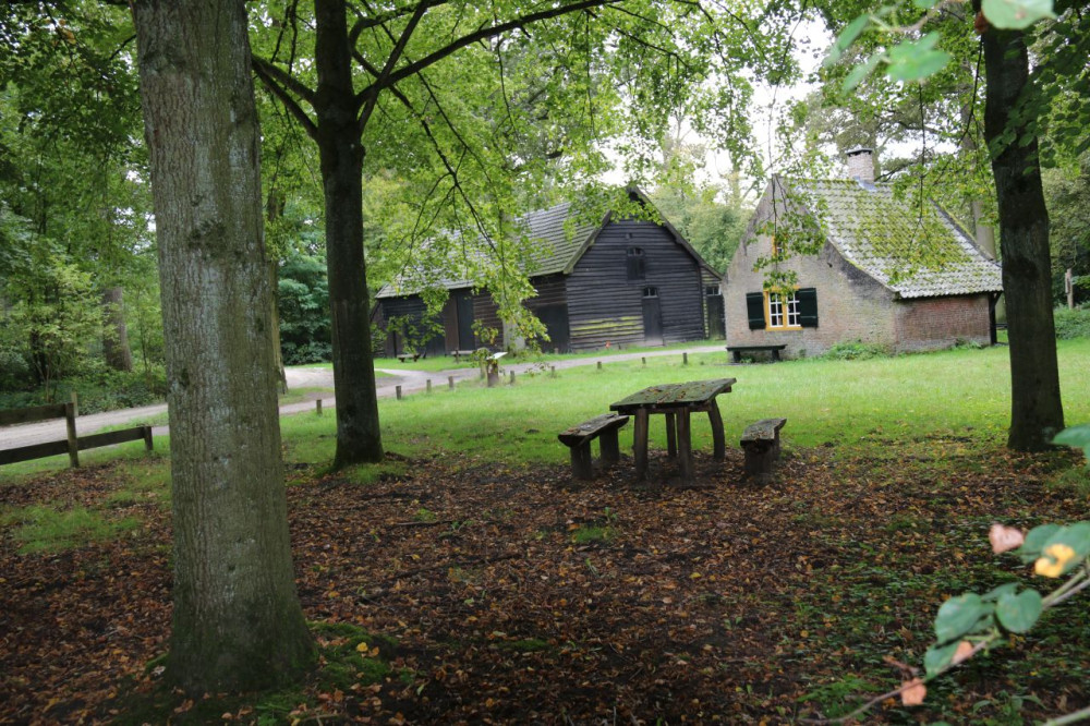 3 lindenbomen pannenhoef