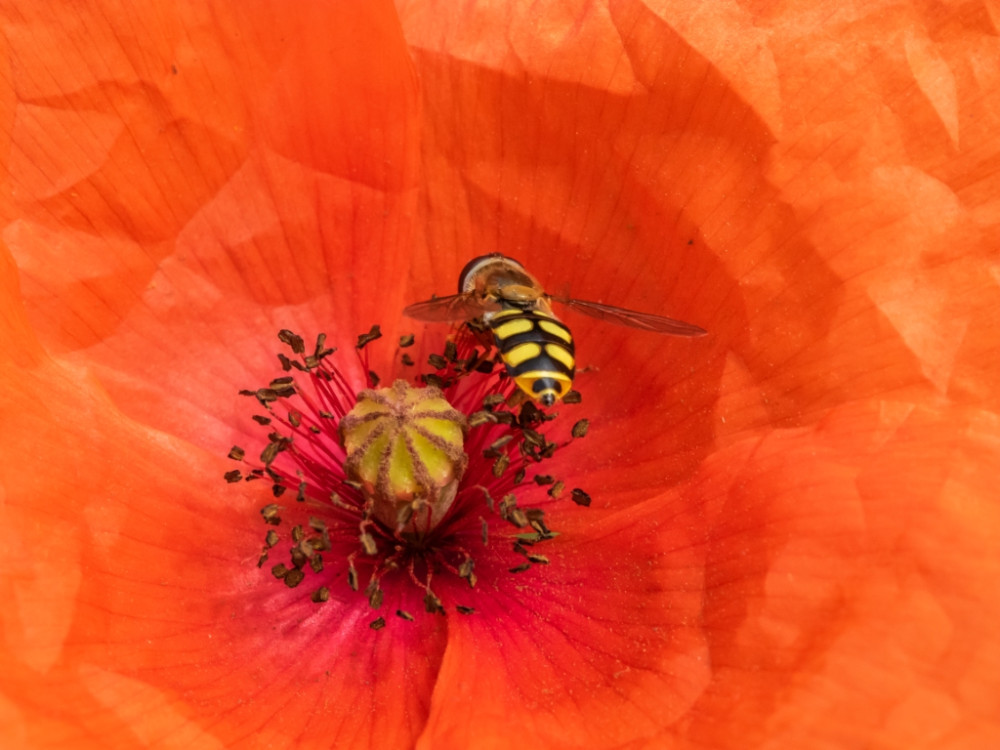 Pag8 onderaan MRE 6080271