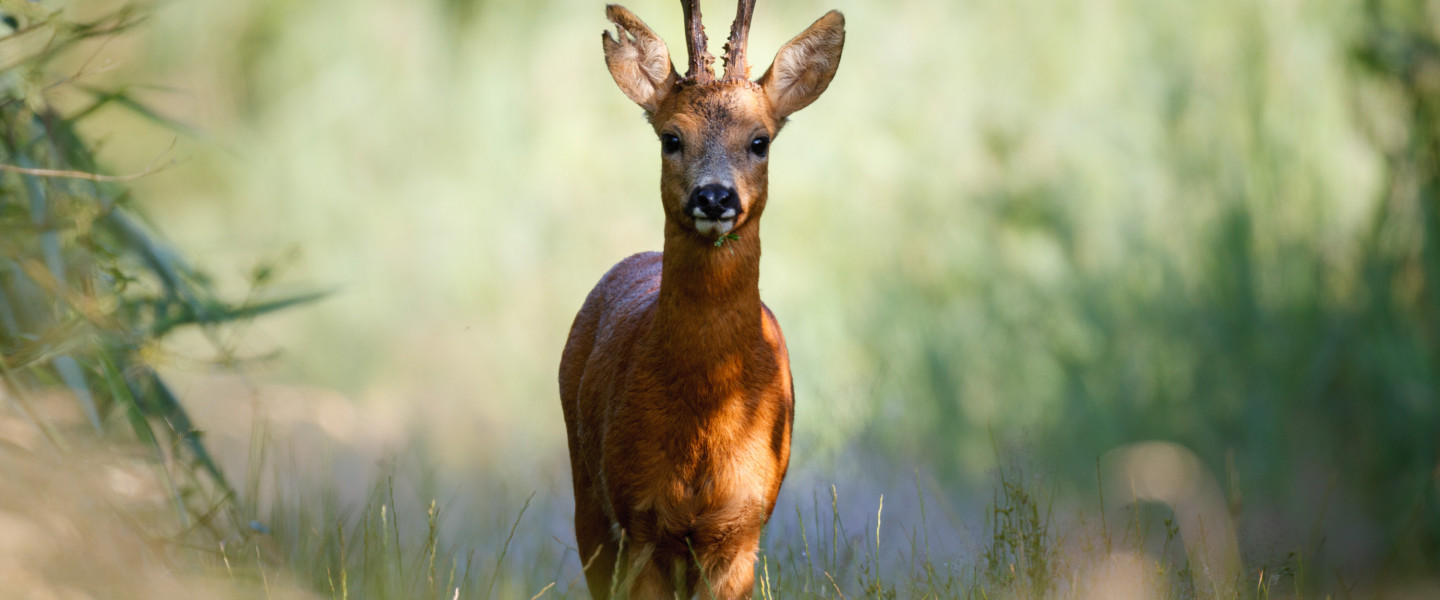 Reebok - Fotograaf Marijn Heuts