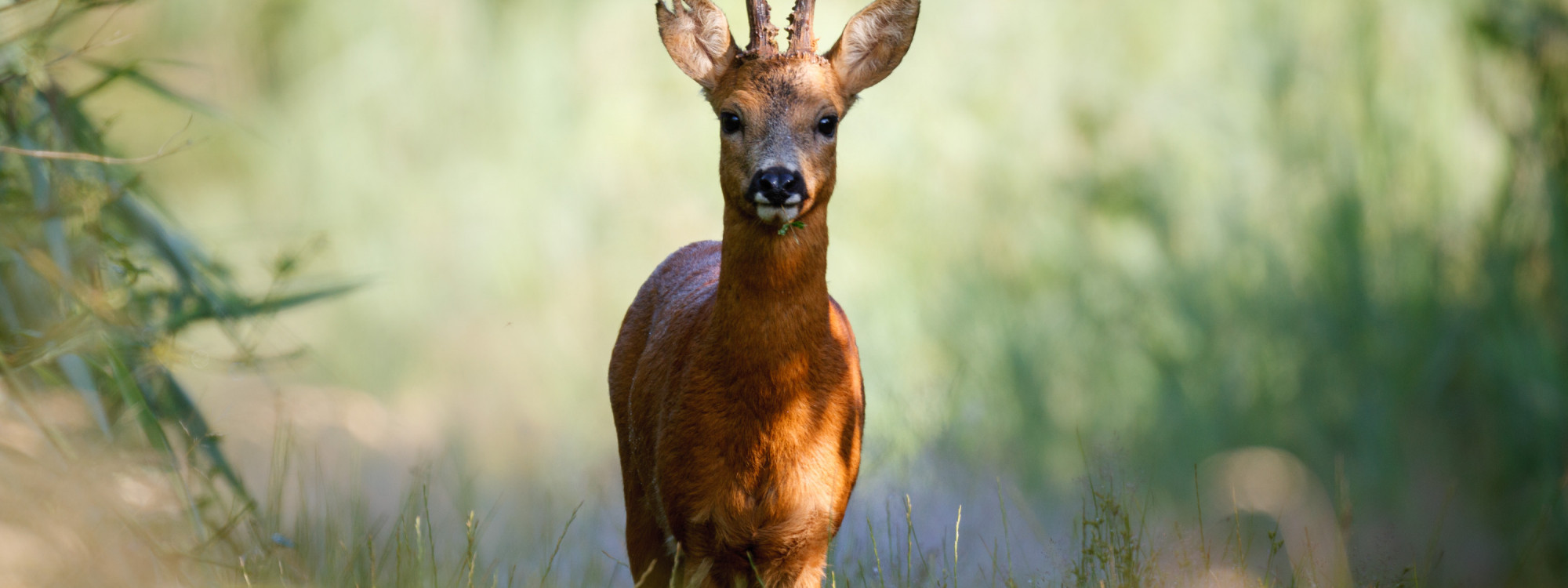 Reebok - Fotograaf Marijn Heuts