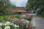 boerderij esbeek 090727 001