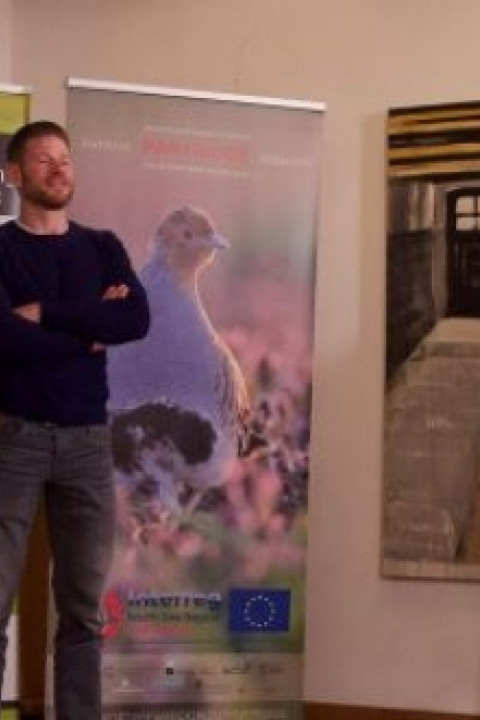 Jaaravond weide en akkervogelbescherming