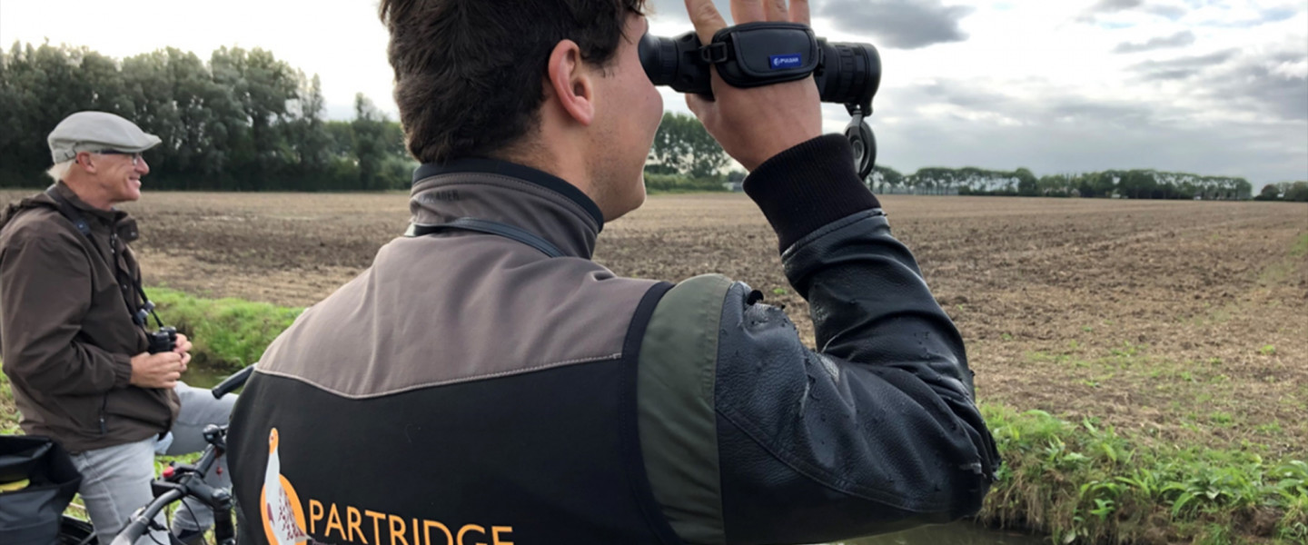 Partridge
