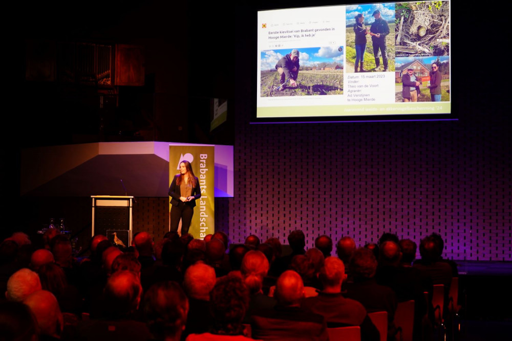 Fien Oost jaaravond weidevogels 2024 kopie