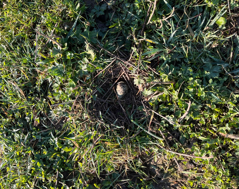 WhatsApp Image 2026 03 05 at 11.46.17 (2)