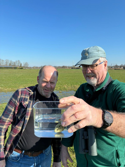 WhatsApp Image 2026 03 05 at 13.16.53