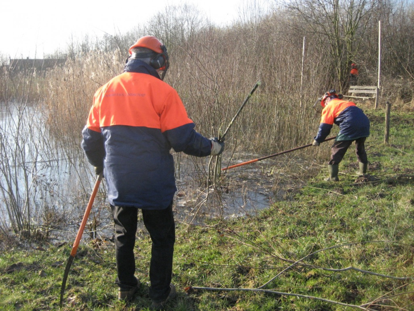 Laarbeeks Landscahp poel opschonen