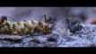 Film Brabantse Wal - Bosmier