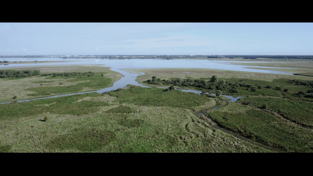 Film Brabantse Wal - van wad tot woud